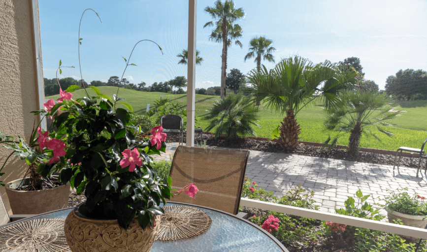 LANAI SCREEN REPAIR